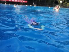 -青年湖公园水上世界