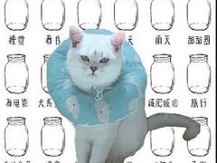 -心语宠物医院·急重症转诊中心·瑞辰华诺(南青路店)