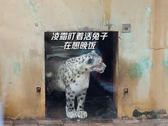 -青藏高原野生动物园