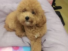 -骐奇宠物诊疗中心(南亭公路店)