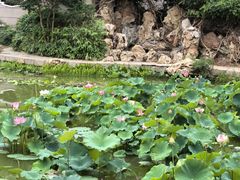 -国家植物园南园