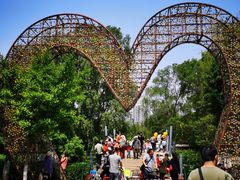 -长白岛森林公园