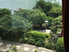 -鼓浪屿钢琴博物馆