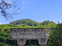 -龙井村