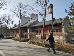 -迎泽公园