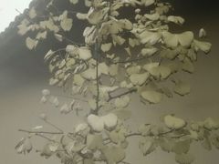 -什邡罗汉寺