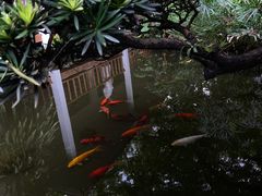 -广州兰圃