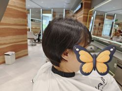 -MY HAIR ARDOR