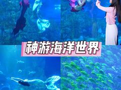 -威海华夏城景区