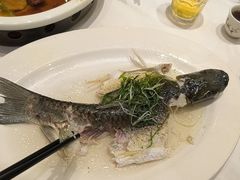 -稻香酒家·35年老字号(侨光店)