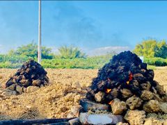 -窑鸡王(城市广场店)