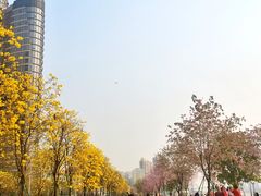 -洲头咀公园