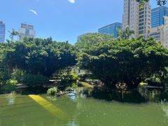 -九龙公园
