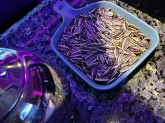 -好乐迪KTV(金钻店)