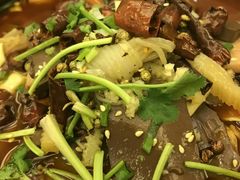 -福禄财东北菜(珠江帝景店)