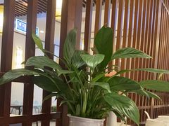 -千滋百味·醉江澜花园餐厅(街道口店)