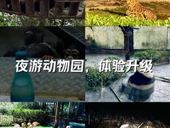 -上海野生动物园