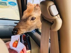 -南京金牛湖风景区