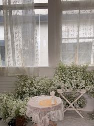 -七色田儿童摄影(静安店)