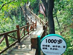 -大岭沟猕猴桃谷风景区