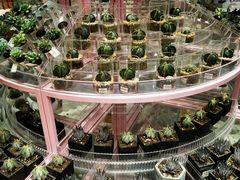 -KKV(深圳宏发大仟里店)