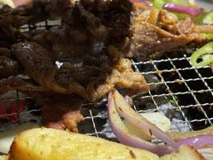 -四斤烤肉(东戴河孟家店)