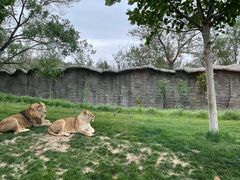 -北京野生动物园