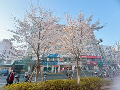 -上海市第十人民医院(总院)