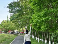 -桤木河湿地公园