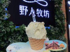 -野人先生现做冰淇淋(北京顺义祥云小镇店)