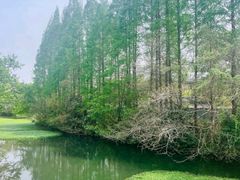 -扬州瘦西湖汇金酒店