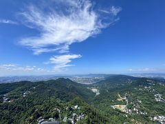 -大金鹰园