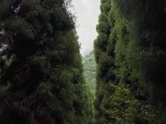 -太阳湾风景区