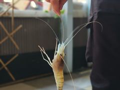 -光头佬室内钓虾场·烧烤·团建·亲子(中山八路店)