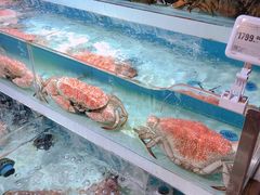 -盒马鲜生(枣园路店)