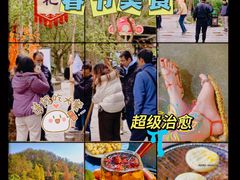 -桂林古东瀑布景区