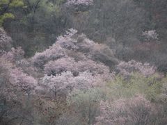 -叠溪松坪沟景区