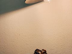 -甘单茶事小馆(洋河店)
