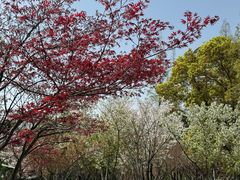 -南通濠河风景名胜区