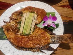 -紫滇源云南生态菜(丹凤街店)