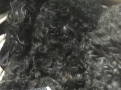 -安安宠医·安宠宠物医院