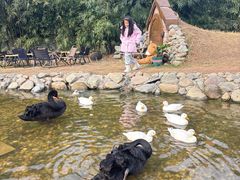 -HERRE·FARM 赫尔露营农场·团建聚会包场