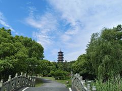 -宜兴龙背山森林公园