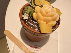 -哈根达斯(龙湖时代天街店)