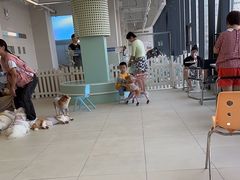 -怪兽屋·羊驼·猫咖·狗咖(俊华广场店)