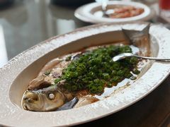 -上海总会SHANGHAICLUB(兴业太古汇店)