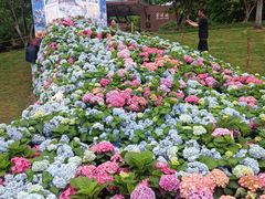 -武汉园博园(武汉自然博物馆)