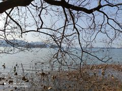 -东湖落雁景区
