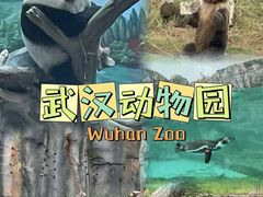-武汉动物园