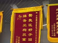 -中农国际动物医院24小时·猫科·骨科·急重症中心